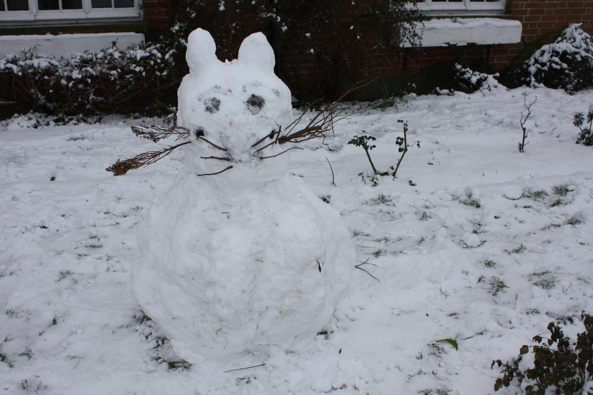 Snow Cat at Cobblestones